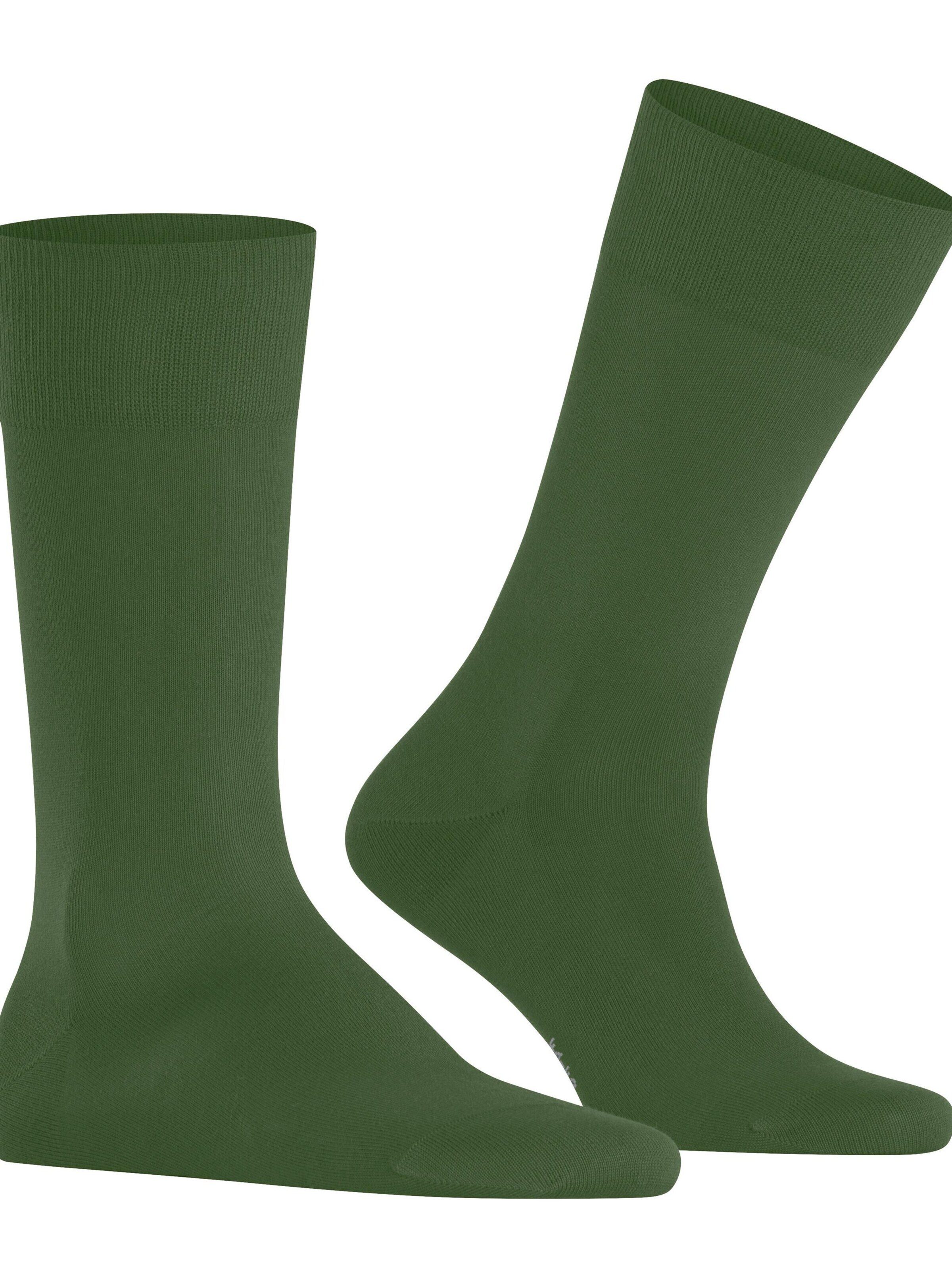 FALKE Socks 'Cool 24/7' in Green: front