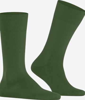 FALKE Socks 'Cool 24/7' in Green: front