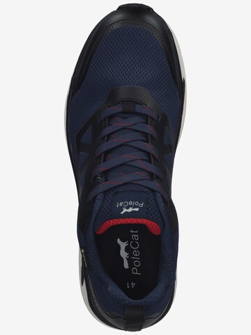 PoleCat Sneakers in Blue