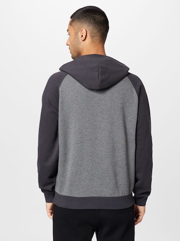 Champion Authentic Athletic Apparel Sweatshirt i grå