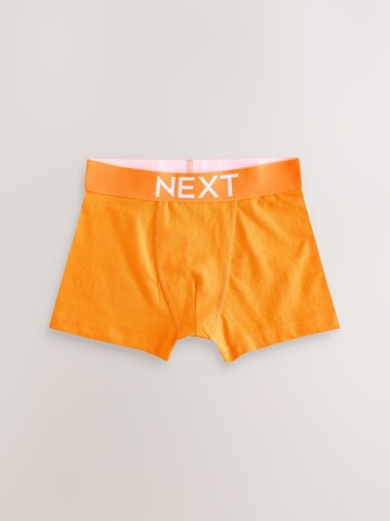 Sous-vêtements Next en mélange de couleurs