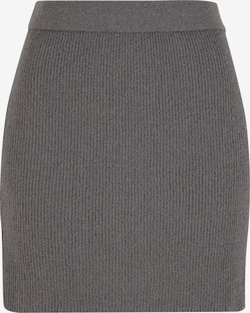 Jupe 'NMAylin' Noisy may en gris : devant