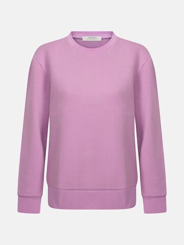 Antioch Sweatshirt in Purple: front