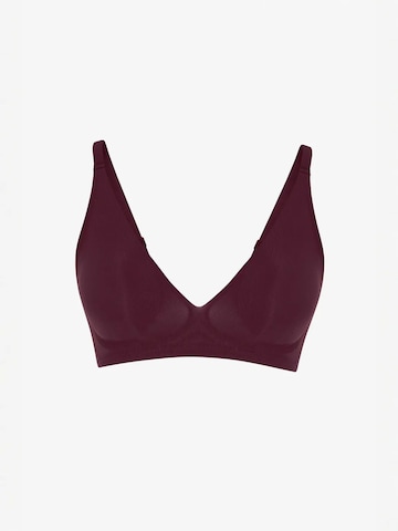 Penti Trójkąt Biustonosz 'BHs & Bralettes' w kolorze fioletowy