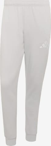 ADIDAS PERFORMANCE Sporthose 'Entrada26' in Grau: Vorderseite