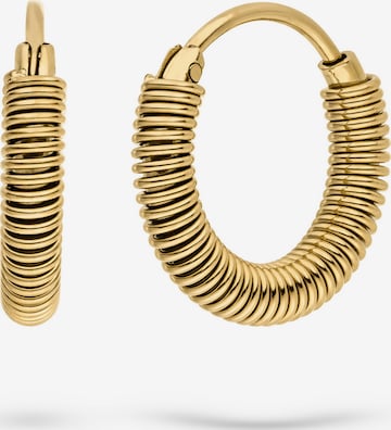 Liebeskind Berlin Oorbellen 'Twist' in Goud: voorkant