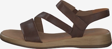 GABOR Sandals 'Comfort' in Brown