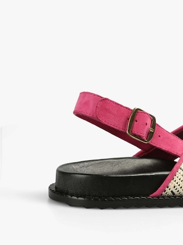 Scalpers Páskové sandály 'Bio Trim' – pink