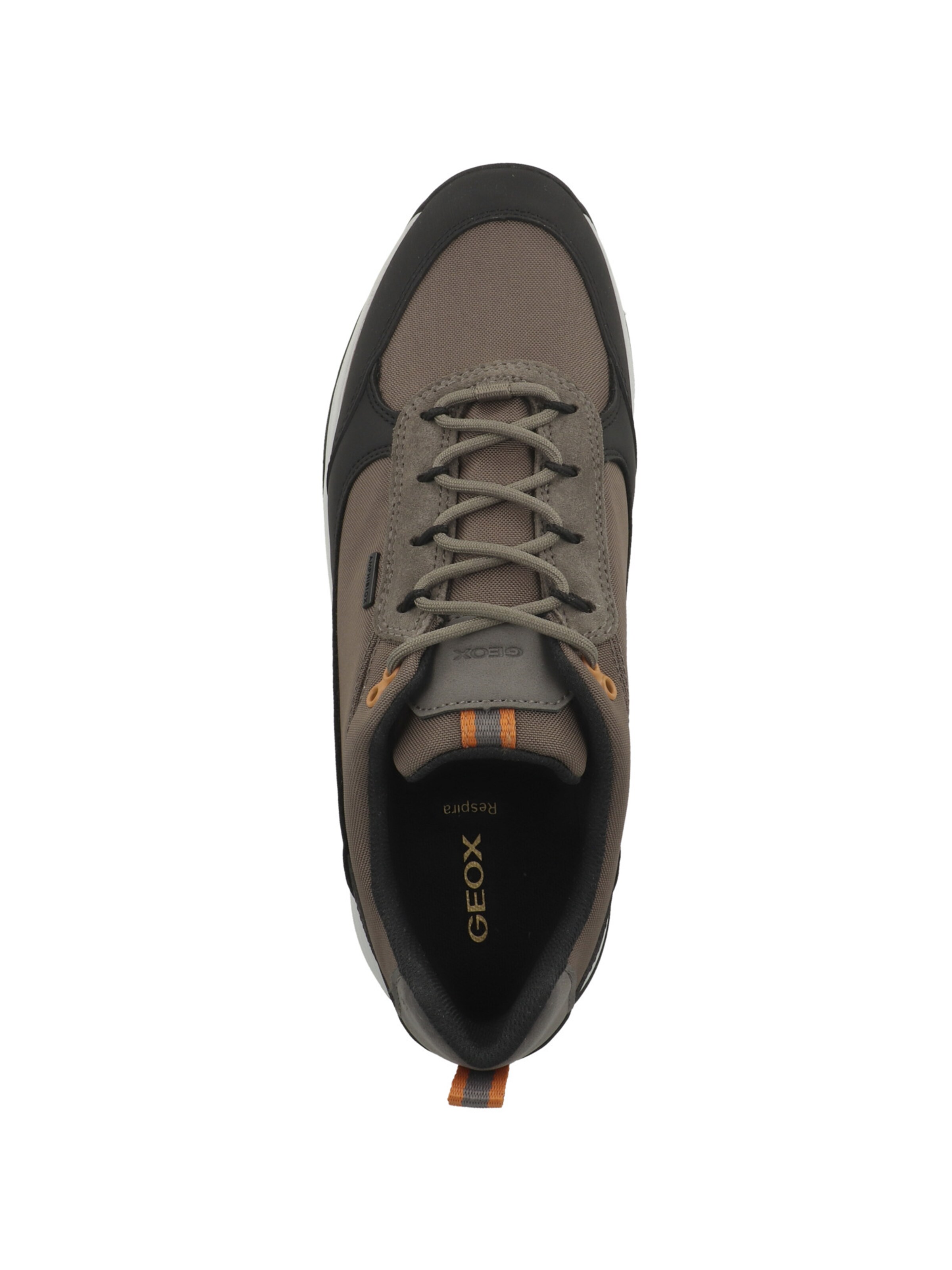 GEOX - Sapatilhas baixas em castanho