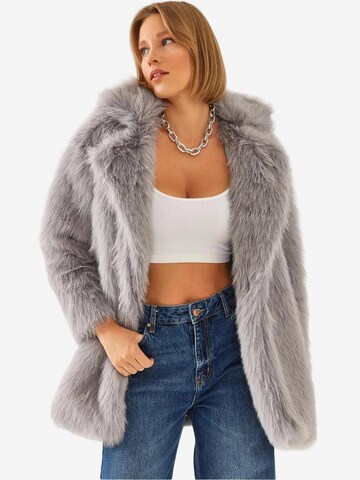 Bianco Lucci Wintermantel in Grijs: voorkant