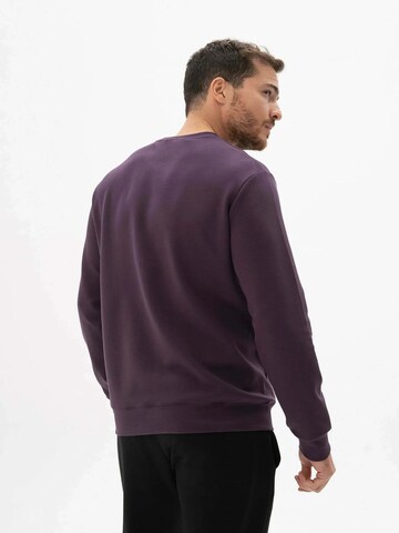 Pull-over Arma en violet