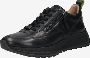 Baskets basses SALAMANDER en noir : devant