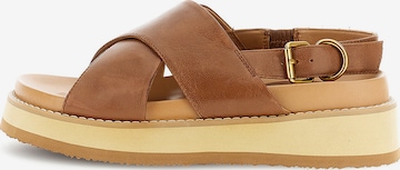 Sandalo di CAFè NOIR in marrone: frontale