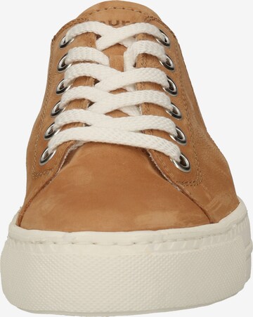 Paul Green Sneaker in Braun