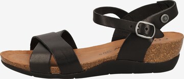 Sandalo di COSMOS COMFORT in nero