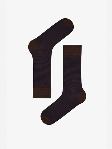 Penti Nogavice 'PENTI Pinestripe Baumwollsocken im 2er-Pack' | modra barva