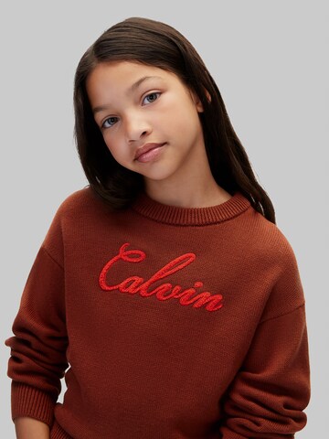 Calvin Klein Jeans Pullover in Rot