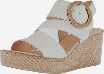 Sandales GABOR en beige : devant