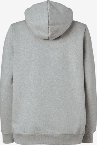 DICKIES Sweatshirt in Grey