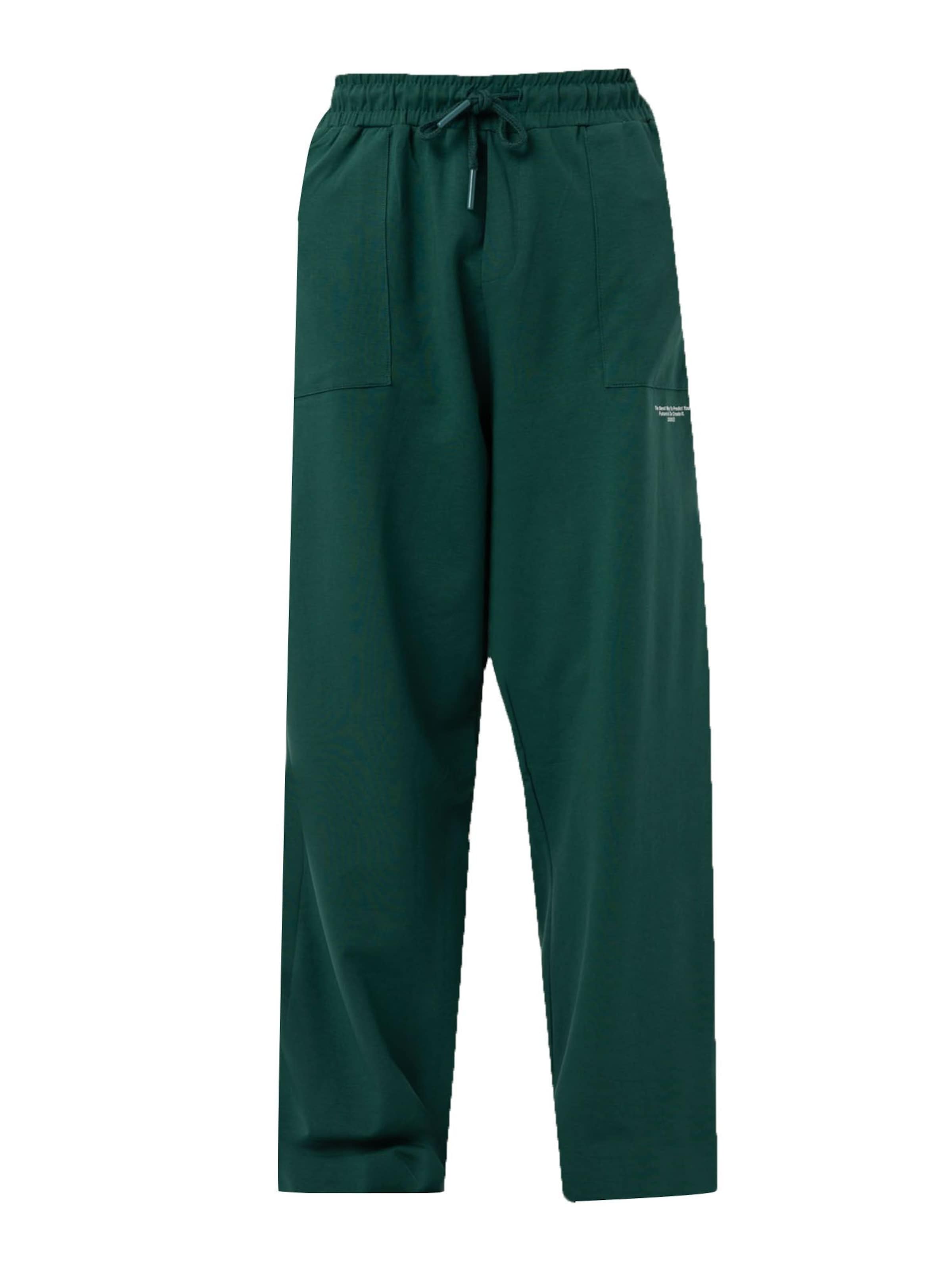 Pantaloni di VAMOS CLO in verde: frontale