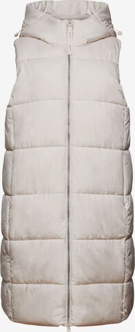 ESPRIT Bodywarmer in Beige: voorkant