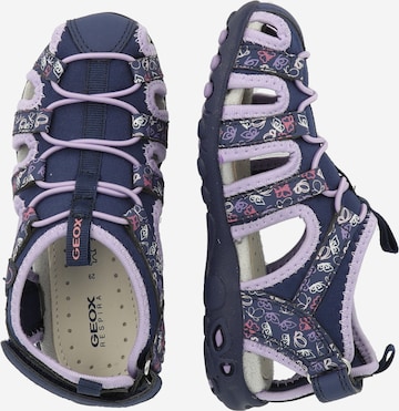 GEOX Open shoes 'WHINBERRY' in Blue