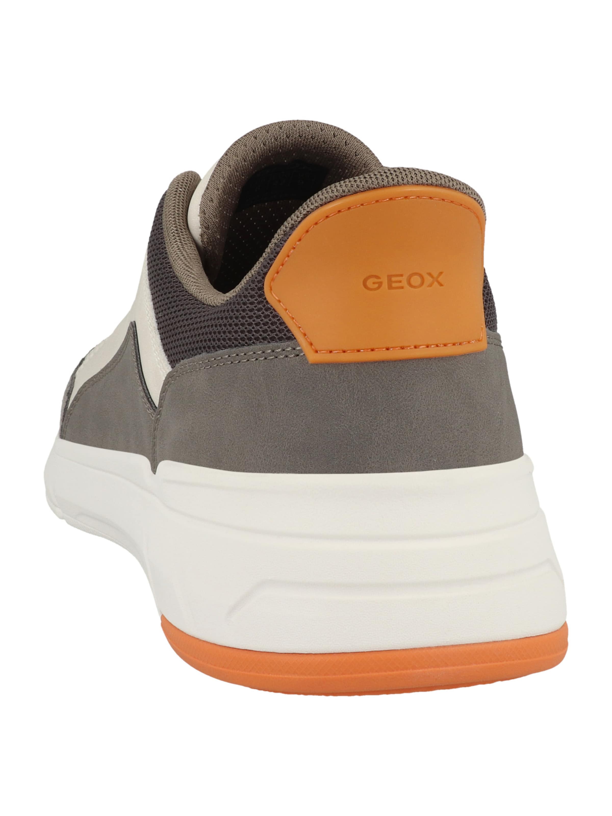 Baskets basses 'Plus A' GEOX en gris