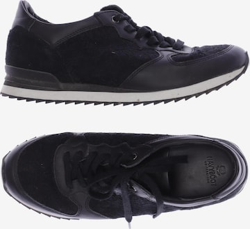 Navyboot Sneakers & Trainers in 39 in Black: front