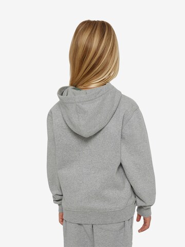 DICKIES Sweatshirt in Grey