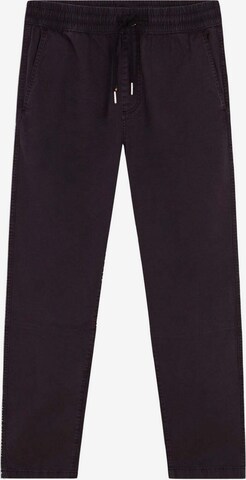 Scalpers Regular Trousers in Blue: front