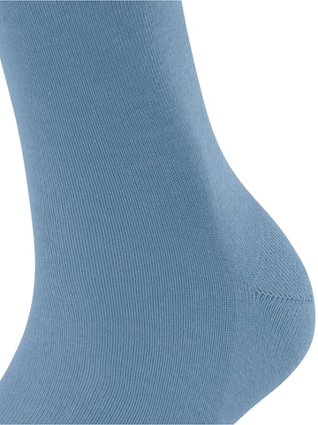 FALKE Socks in Blue