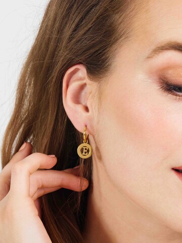 Lucardi Earrings in Gold: front
