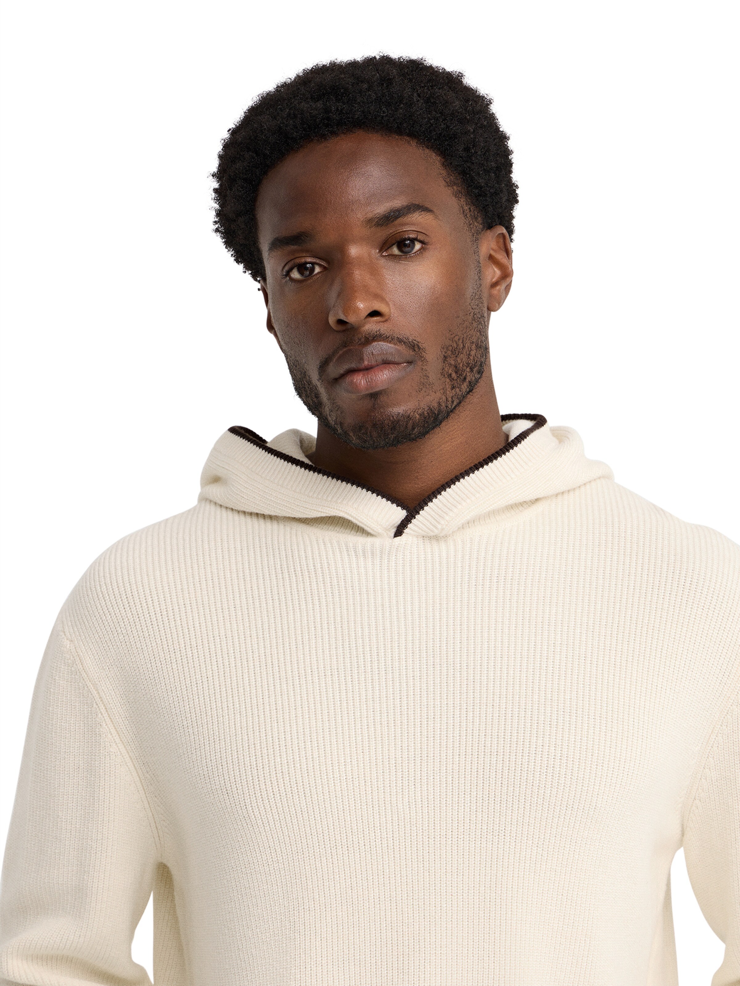 Polo Club Pullover ' WESTMINSTER' in Beige