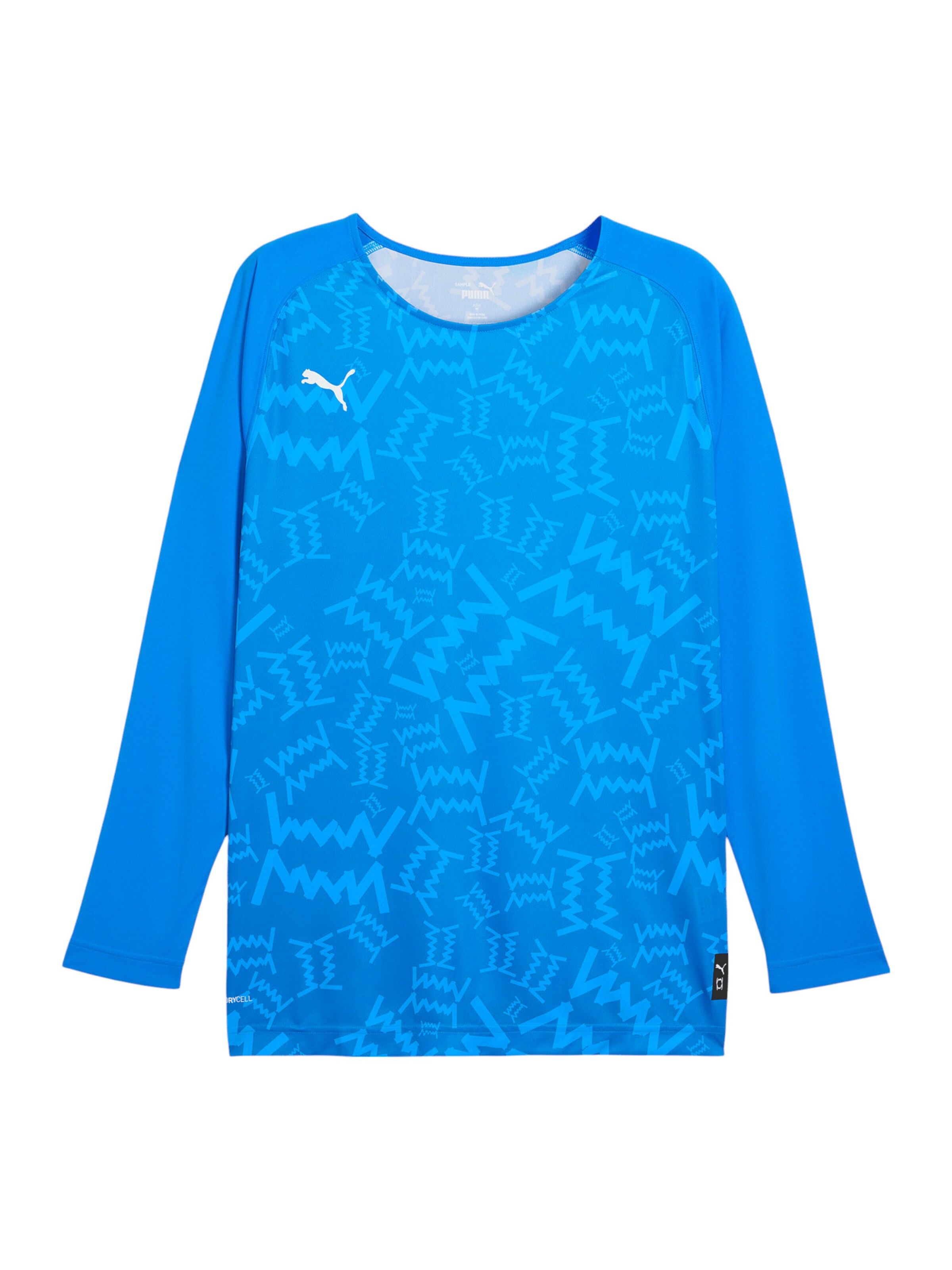 PUMA Funktionsshirt 'Teamjaws' in Blau: Vorderseite