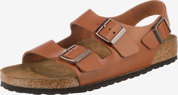 Die Reihenfolge unserer favoritisierten Birkenstock arizona rosegold