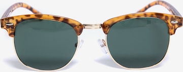 BIG STAR Sunglasses 'KOLEN' in Brown: front