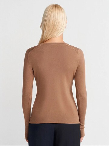 Dilvin Pulover 'Pullover' | rjava barva