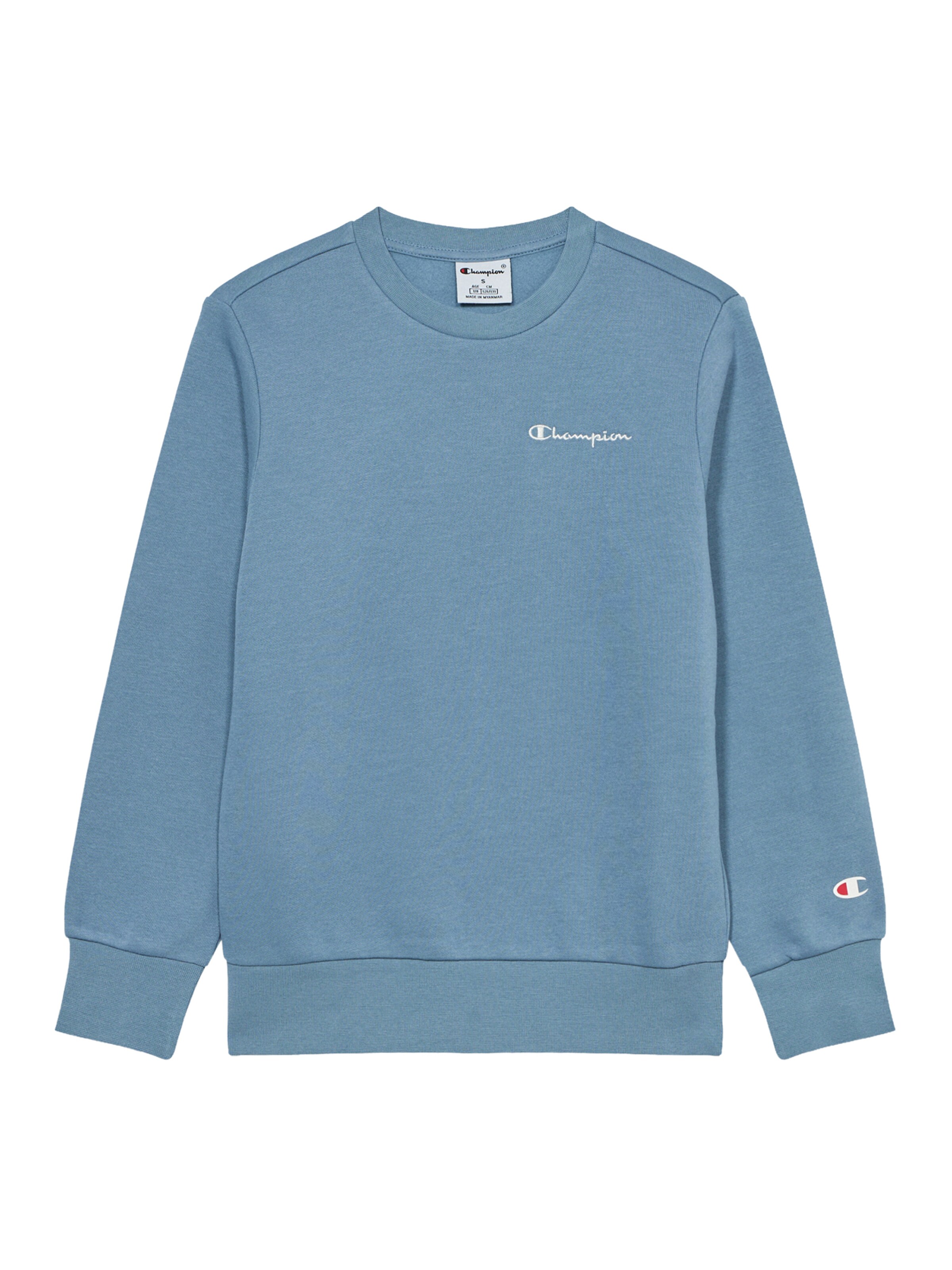 Champion Authentic Athletic Apparel Sweatshirt in Blue: front
