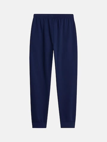THE NORTH FACE Regular Outdoorbyxa 'THE NORTH FACE M EVO SD REG JOGGER PANTALONE TUTA' i blå