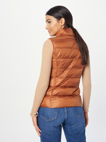 JOTT Vest 'SAB' in Brown