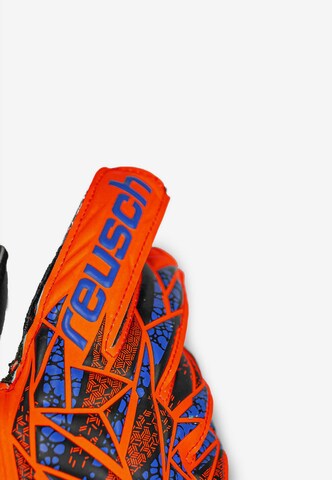 REUSCH Sporthandschoenen 'Attrakt Silver Junior' in Oranje