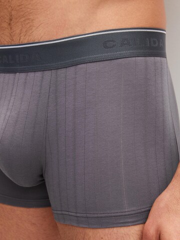 CALIDA Boxershorts 'Pure & Style' in Grijs