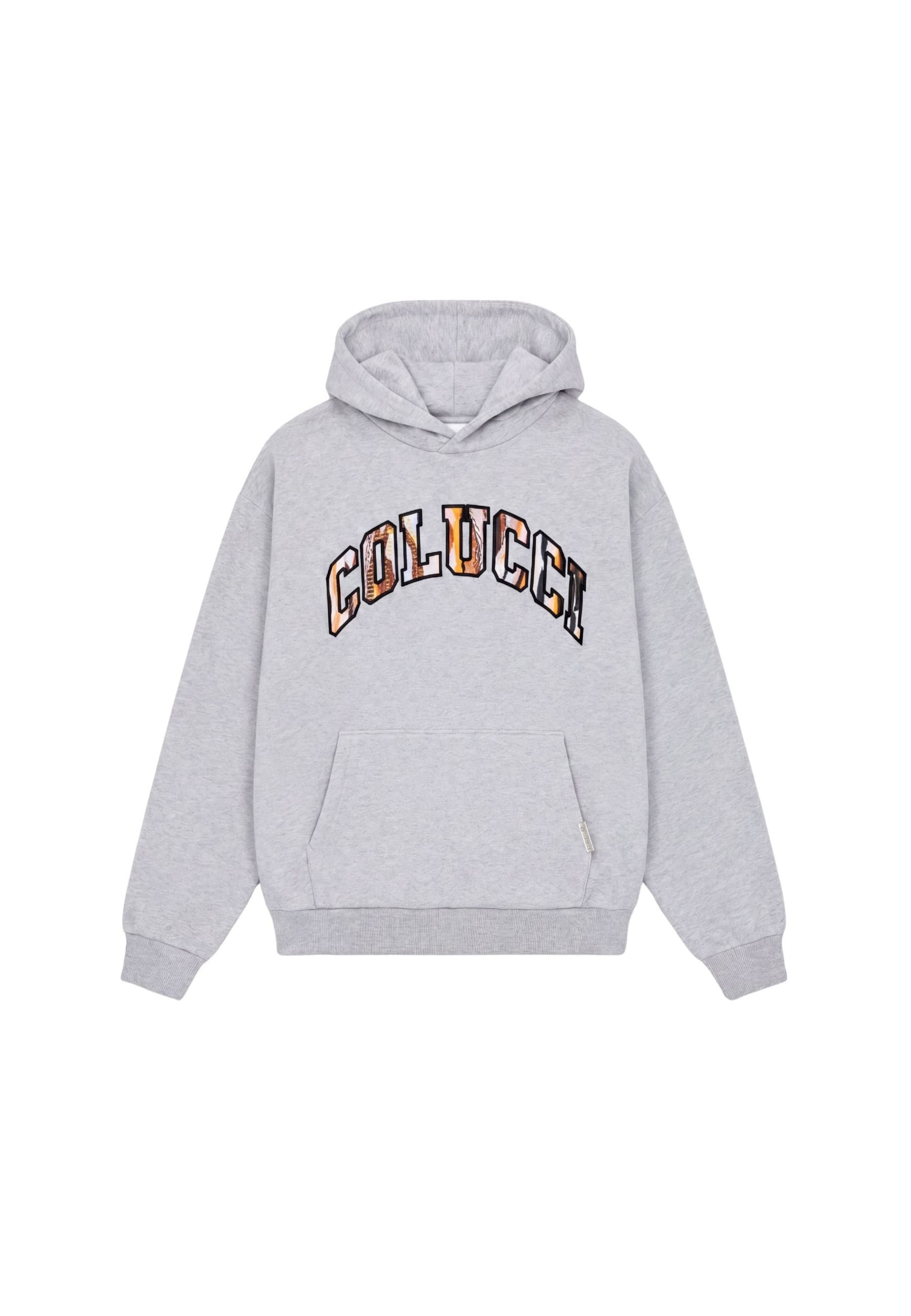 Colucci Sweatshirt in Grey: front