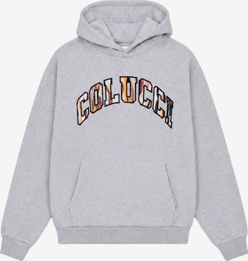 Colucci Sweatshirt in Grey: front
