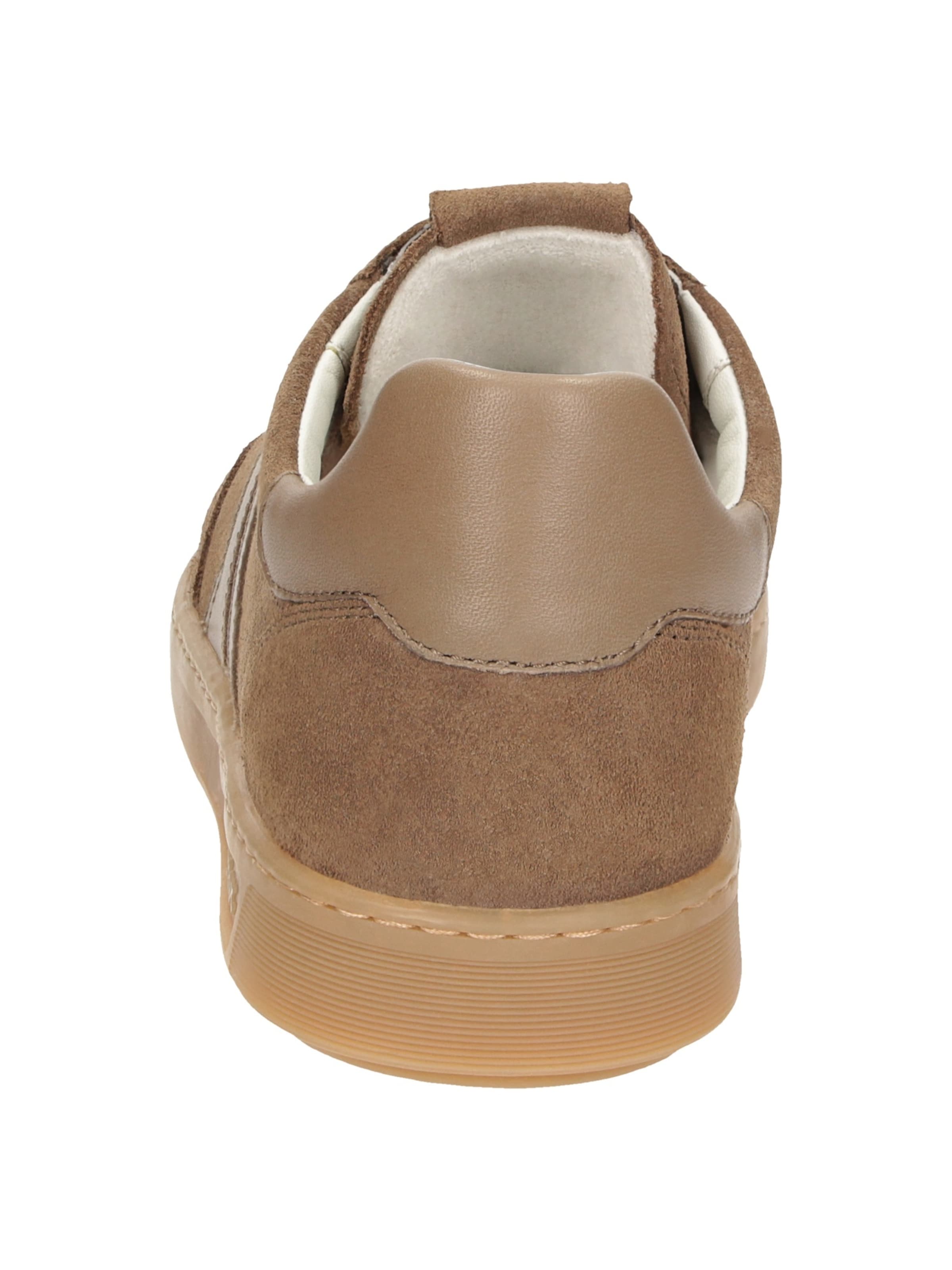 SIOUX Sneakers laag ' Tedroso-713 ' in Bruin