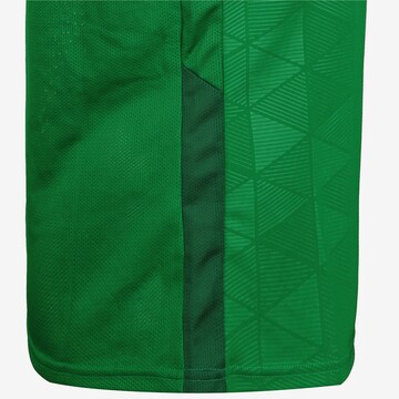 Maglia trikot 'Trophy IV' di NIKE in verde