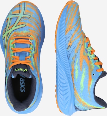 ASICSSportske cipele 'NOOSA TRI 15' - plava boja