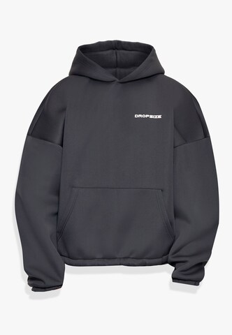 Dropsize Sweatshirt in Grau: Vorderseite