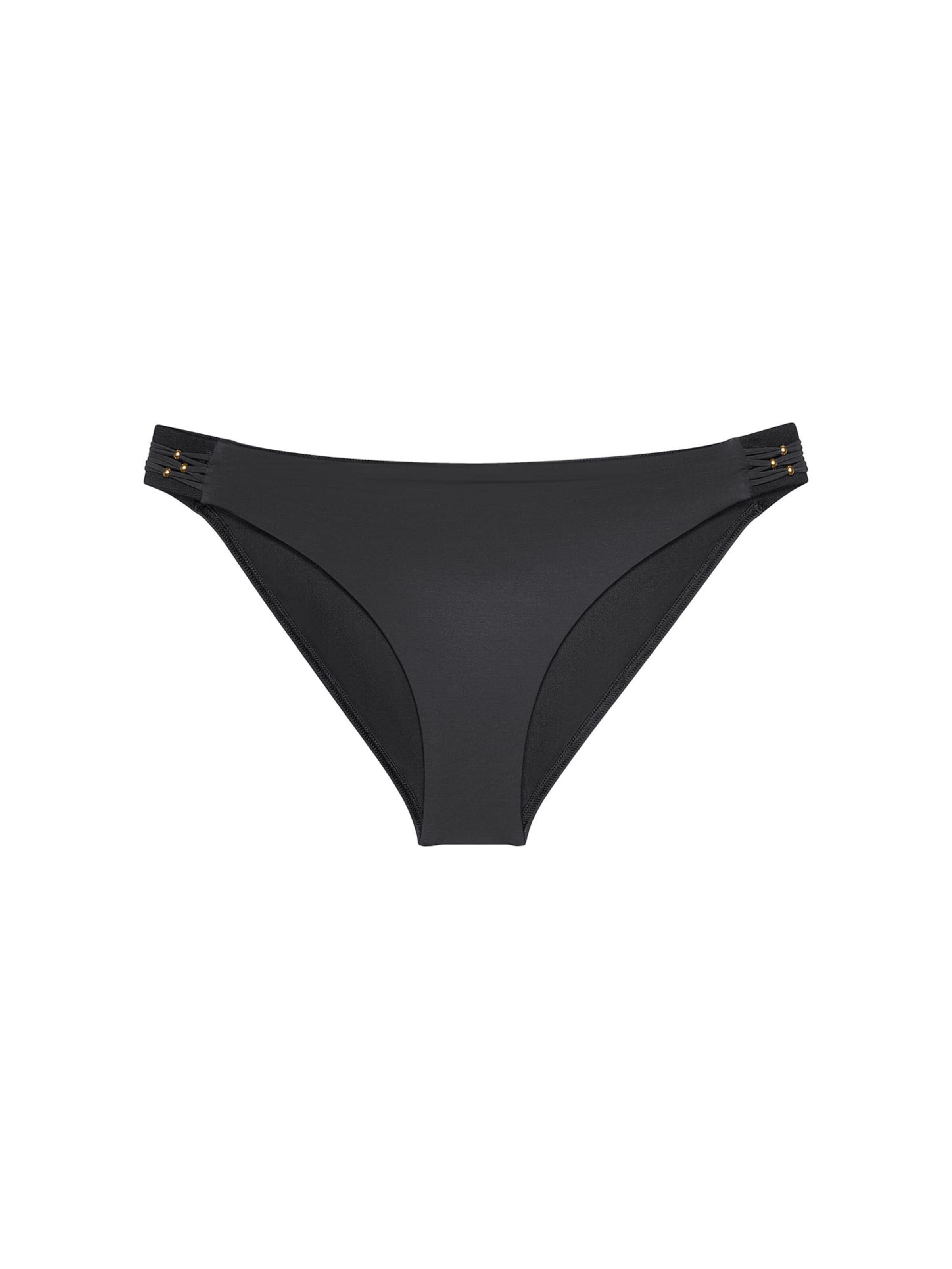 TRIUMPH Bikini bottom ' Red Label Palina Love by the Sea ' in Black: front