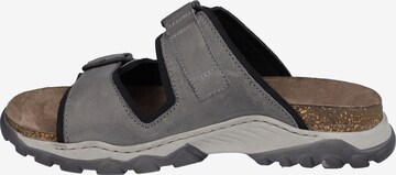 JOSEF SEIBEL Mules 'Janosch' in Grey